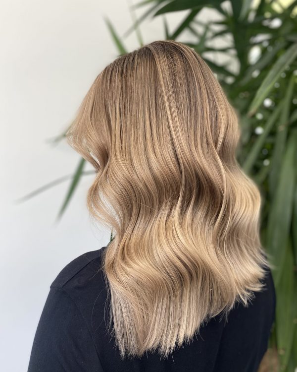 cisar-hair2782022-5 cisar-hair2782022-5